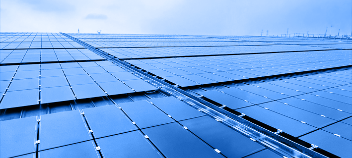 ��� �뵼��