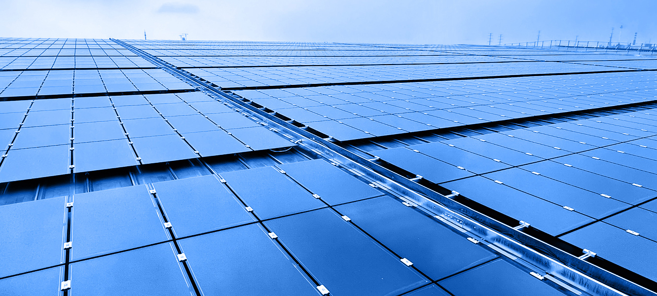 ��� �뵼��